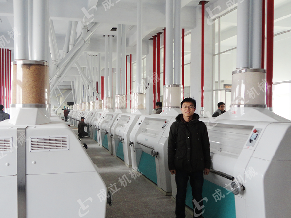 大型日產(chǎn)200噸面粉加工廠(chǎng)設(shè)備，自動(dòng)化生產(chǎn)線(xiàn)